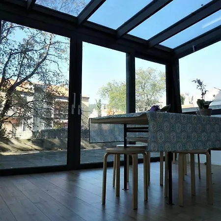 Nest In The * Trieste