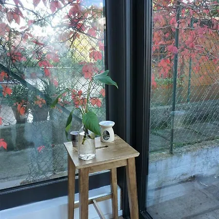 Nest In The * 的里雅斯特